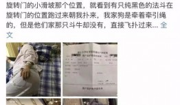 深圳杨女士最新爆料,最新爆料引发社会关注