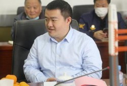 刘振最新爆料新闻视频,揭秘事件背后惊人内幕