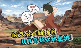 帕克最新爆料解说,最新爆料背后的真相与内幕